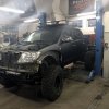 Hilux Arctic